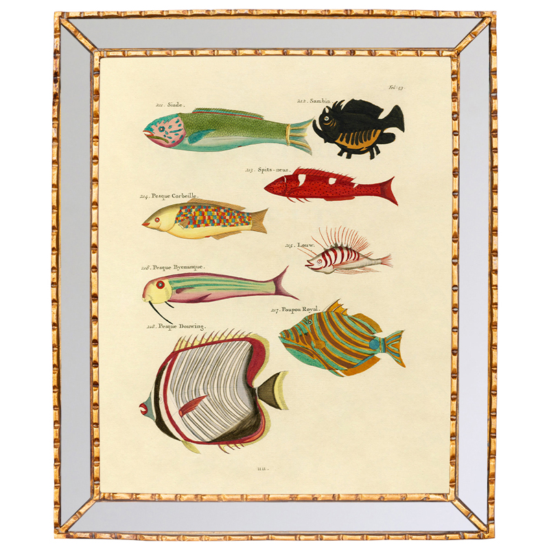 Постер в зеркальной раме Fish Guide 4 Мульти Золотой в Барнауле | Loft Concept 