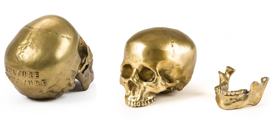 Статуэтка Seletti Wunderkrammer Human Skull Статуэтка Seletti Wunderkrammer Human Skull - Loft-Concept в Барнауле