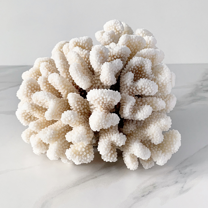 Статуэтка Brownstem Coral Статуэтка Brownstem Coral в Барнауле | Loft Concept