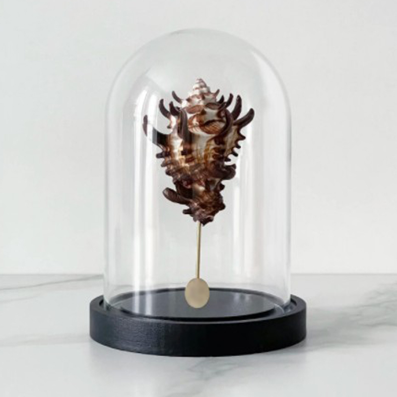 Статуэтка Vasum Tubiferum Glass Cloche Статуэтка Vasum Tubiferum Glass Cloche в Барнауле | Loft Concept