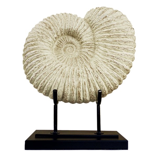 Аксессуар Аммонит Fossil Shell Аксессуар Аммонит Fossil Shell в Барнауле | Loft Concept
