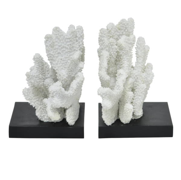 Держатели для книг White Coral Белый Держатели для книг White Coral Белый в Барнауле | Loft Concept