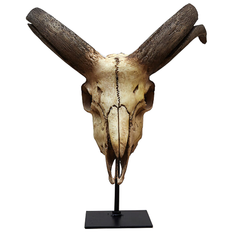 Аксессуар Goat Skull Бежевый Коричневый Черный Аксессуар Goat Skull Бежевый Коричневый Черный в Барнауле | Loft Concept