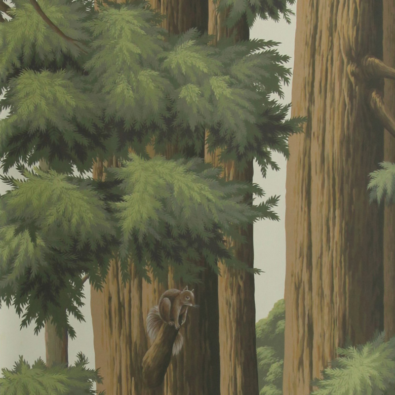 Обои ручная роспись Redwoods Colourway SC-281 on scenic paper Обои ручная роспись Redwoods Colourway SC-281 on scenic paper в Барнауле | Loft Concept