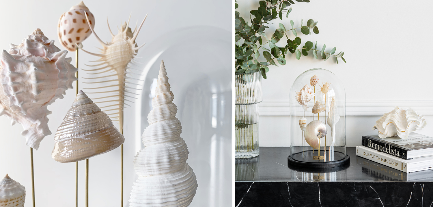 Статуэтка Shell Collection Glass Cloche 1 - фото