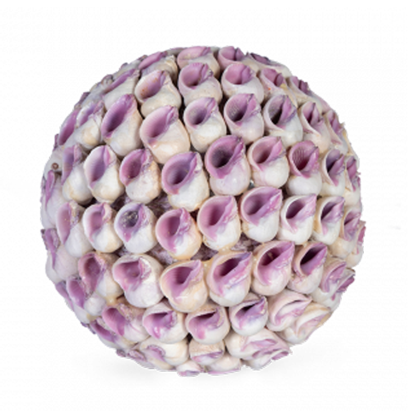 Статуэтка Coral Decor ball Коричневый Статуэтка Coral Decor ball Коричневый в Барнауле | Loft Concept