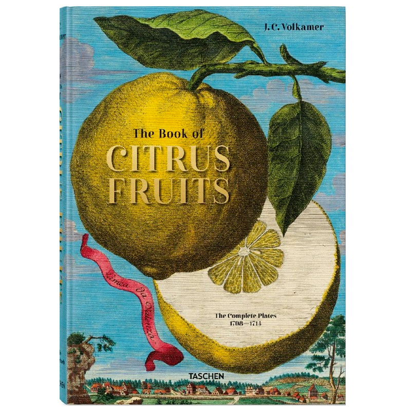 Volkamer Citrus Fruits Volkamer Citrus Fruits в Барнауле | Loft Concept