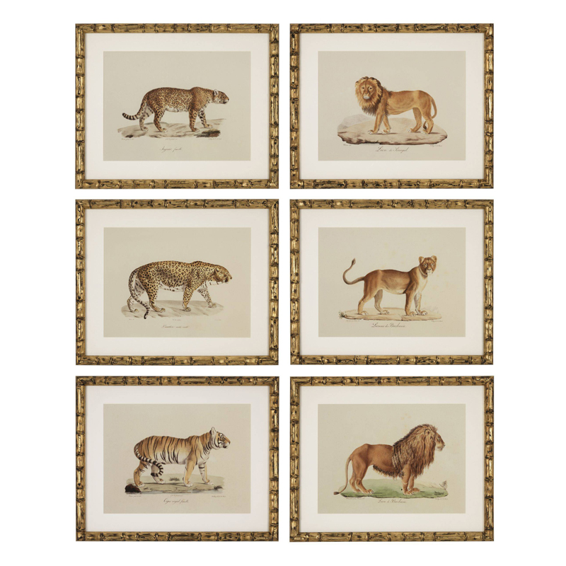 Комплект постеров Eichholtz Prints Lion Tigre Jaguar set of 6 Золотой Бежевый Мульти в Барнауле | Loft Concept 