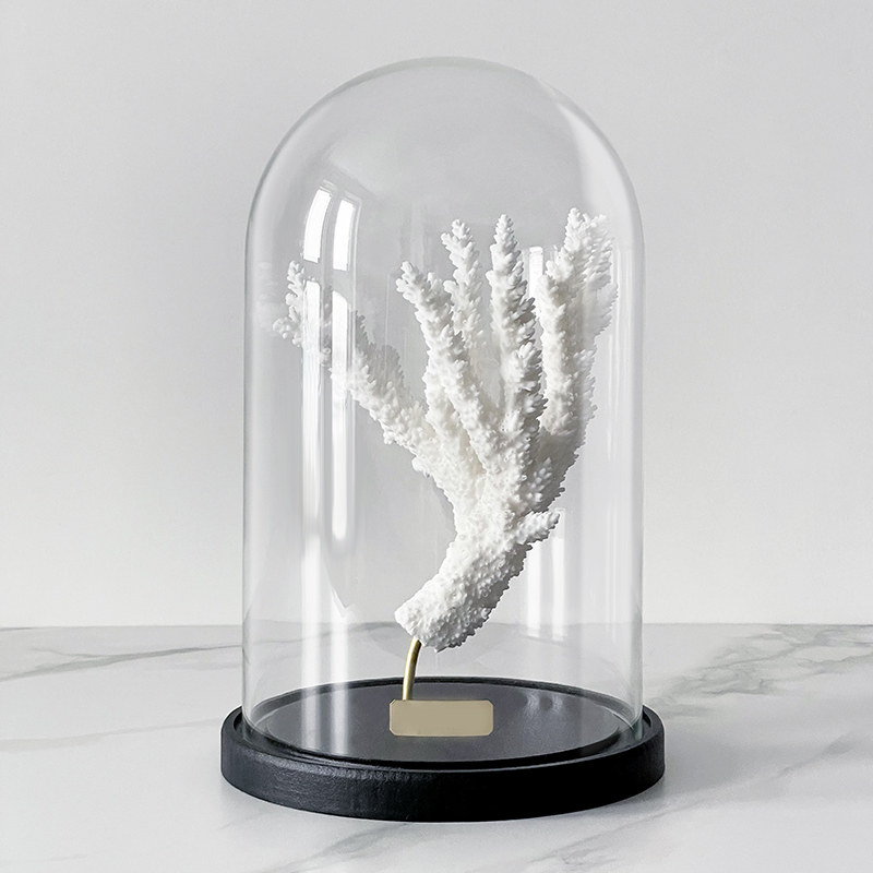 Статуэтка Natural Coral Branch Glass Cloche Статуэтка Natural Coral Branch Glass Cloche в Барнауле | Loft Concept