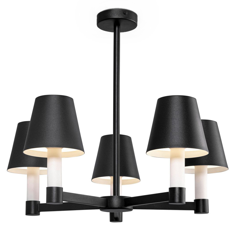 Люстра Eremon Chandelier 5 Черный Люстра Eremon Chandelier 5 Черный в Барнауле | Loft Concept