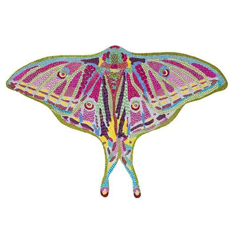 Картина “Spanish Moon Moth Butterfly Cut Out” Мульти Картина “Spanish Moon Moth Butterfly Cut Out” Мульти в Барнауле | Loft Concept
