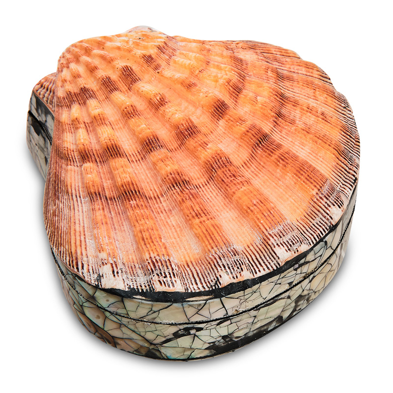 Шкатулка Shell Box II Коралловый Шкатулка Shell Box II Коралловый в Барнауле | Loft Concept
