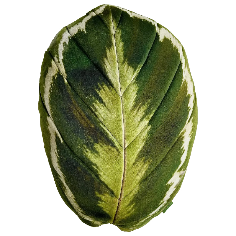 Декоративная подушка Botanical Cushion Calathea Medallion Зеленый Декоративная подушка Botanical Cushion Calathea Medallion Зеленый в Барнауле | Loft Concept