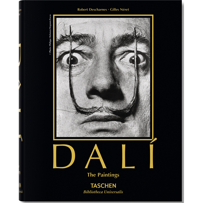 Salvador Dali. Paintings Salvador Dali. Paintings в Барнауле | Loft Concept