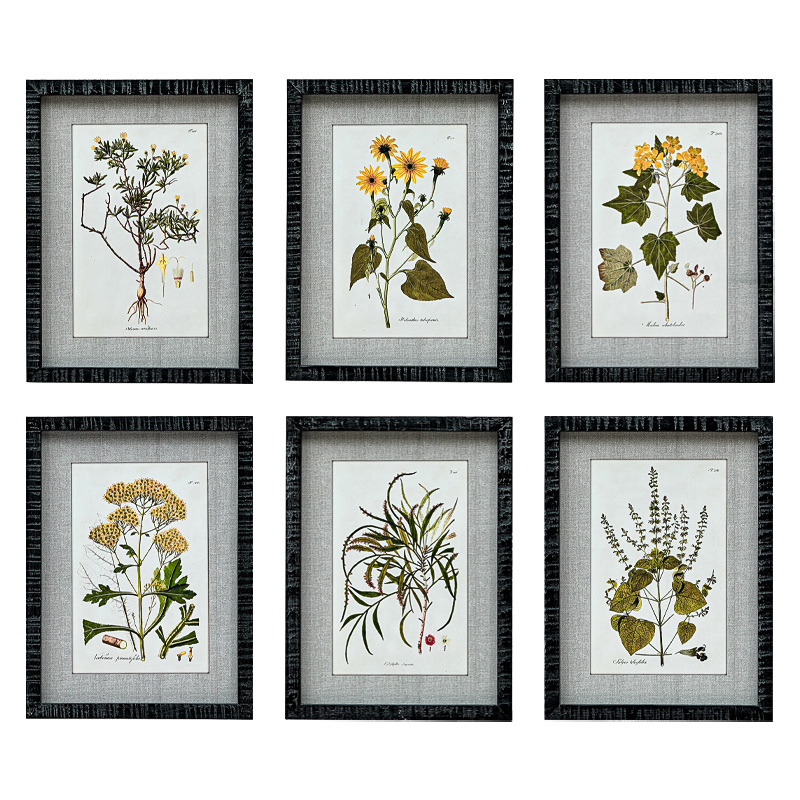 Набор постеров Herbarium Yellow Flowers Мульти Набор постеров Herbarium Yellow Flowers Мульти в Барнауле | Loft Concept