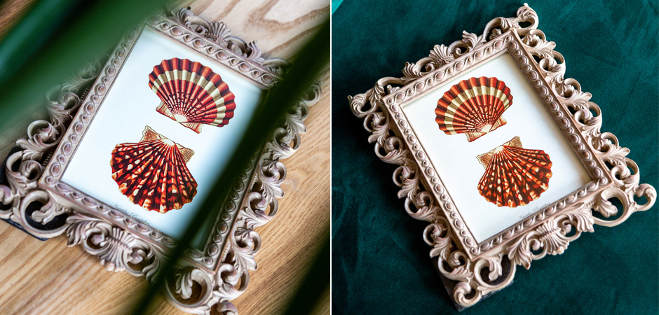 Постер Red Scallop Poster - Loft-Concept в Барнауле