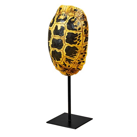 Статуэтка Yellow Tortoise Shell Черный Желтый Статуэтка Yellow Tortoise Shell Черный Желтый в Барнауле | Loft Concept