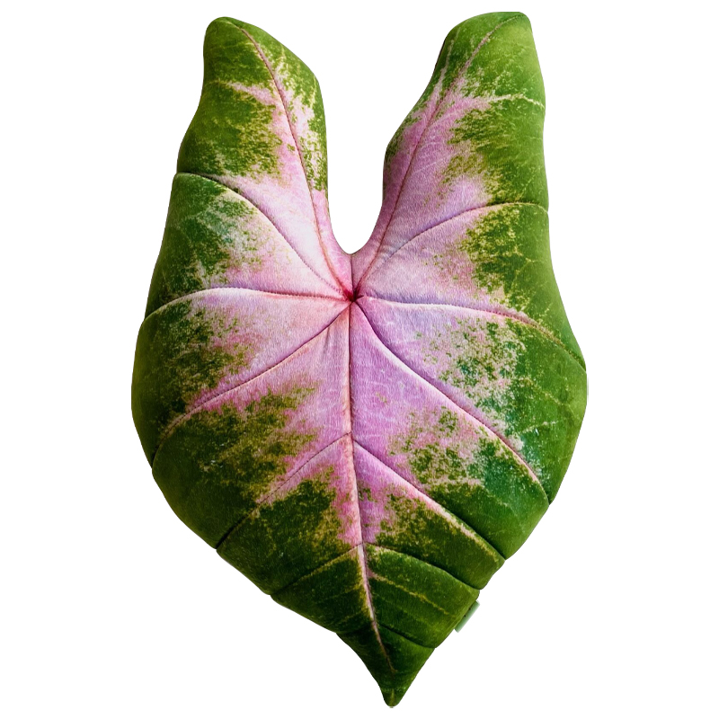 Декоративная подушка Botanical Cushion Caladium Bicolor Зеленый Розовый Декоративная подушка Botanical Cushion Caladium Bicolor Зеленый Розовый в Барнауле | Loft Concept