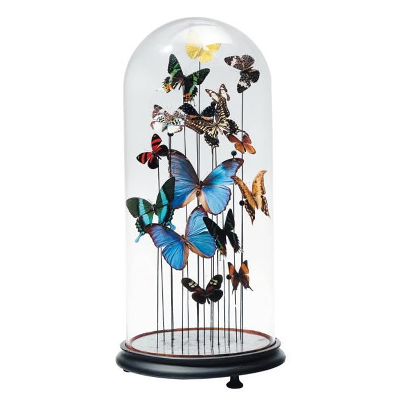 Статуэтка 15 Butterflies Glass Cloche Статуэтка 15 Butterflies Glass Cloche в Барнауле | Loft Concept
