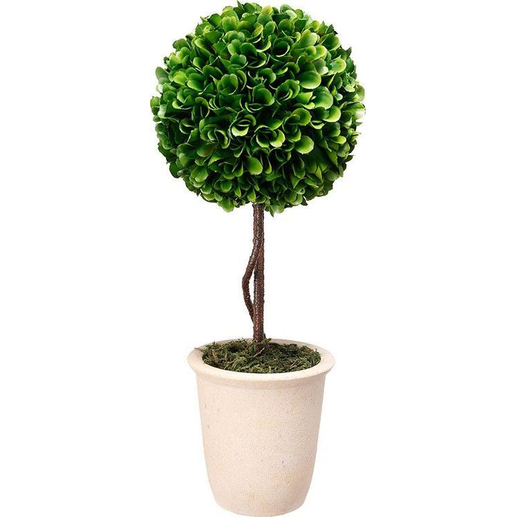 Декоративный искусственное растение Single boxwood Зеленый Бежевый Коричневый Декоративный искусственное растение Single boxwood Зеленый Бежевый Коричневый в Барнауле | Loft Concept