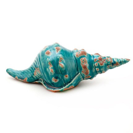Ракушка Shell Turquoise #1 Бирюзовый Ракушка Shell Turquoise #1 Бирюзовый в Барнауле | Loft Concept