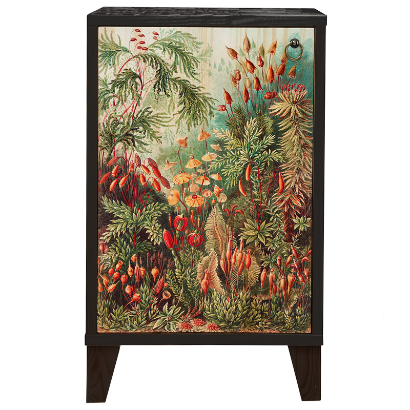 Тумба с цветочным изображением Floral Print Nighstand Черный Мульти Тумба с цветочным изображением Floral Print Nighstand Черный Мульти в Барнауле | Loft Concept