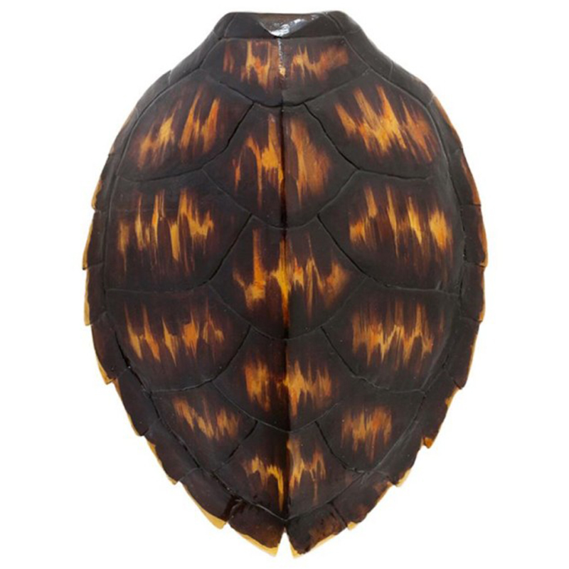 Аксессуар Turtle Shell Brown Orange Коричневый Оранжевый Аксессуар Turtle Shell Brown Orange Коричневый Оранжевый в Барнауле | Loft Concept