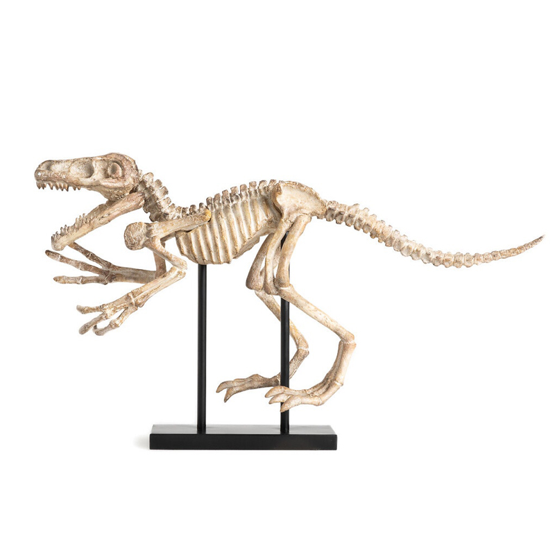 Статуэтка Dinosaur Skeleton big Бежево-серый Статуэтка Dinosaur Skeleton big Бежево-серый в Барнауле | Loft Concept