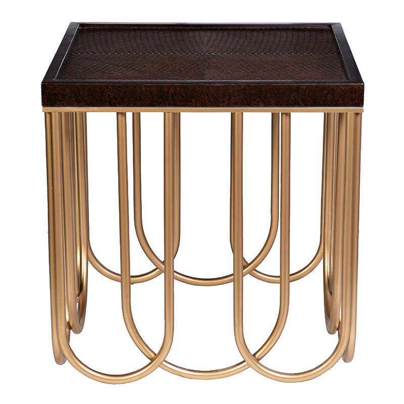 Приставной стол Cassel Side Table Дерево Табак Золотой Приставной стол Cassel Side Table Дерево Табак Золотой в Барнауле | Loft Concept