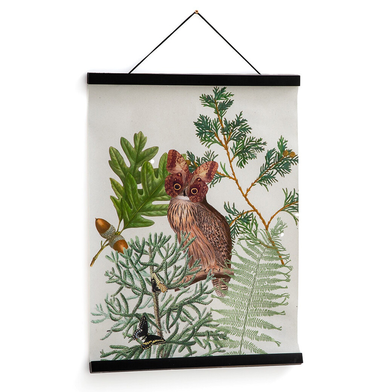 Постер Poster of Plants & Birds сова Мульти Постер Poster of Plants & Birds сова Мульти в Барнауле | Loft Concept