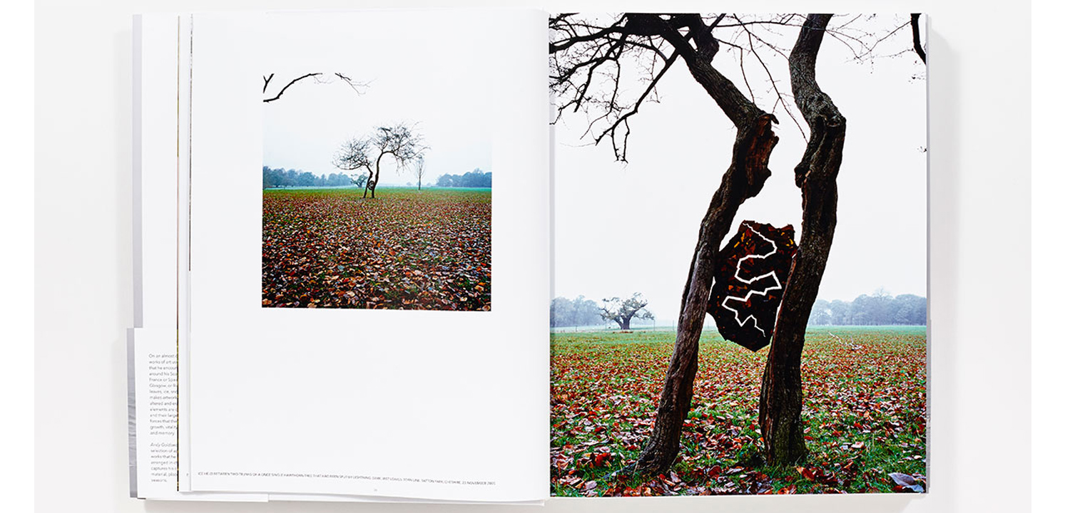 Книга Энди Голдзуорти Andy Goldsworthy: Ephemeral Works: 2004-2014 - фото №1