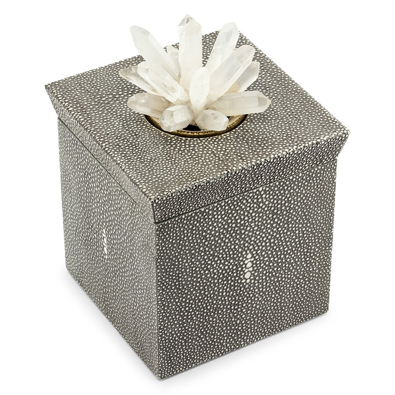 Шкатулка BOX KRIZIA STING SQ Светло-серый Прозрачный Шкатулка BOX KRIZIA STING SQ Светло-серый Прозрачный в Барнауле | Loft Concept