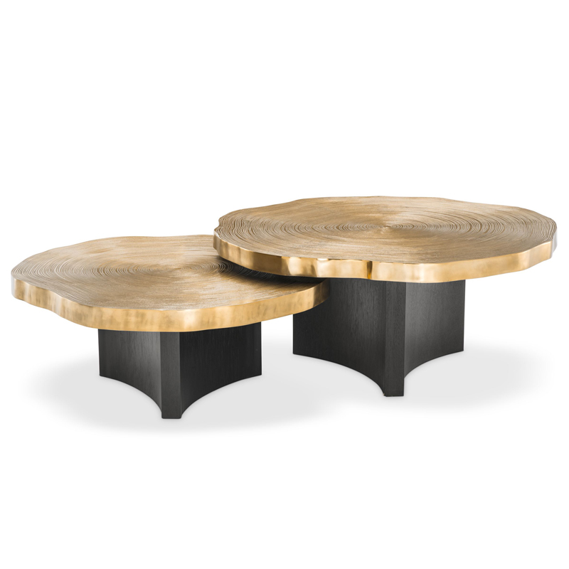 Комплект кофейных столов Eichholtz Coffee Table Thousand Oaks set of 2 Черный Латунь Комплект кофейных столов Eichholtz Coffee Table Thousand Oaks set of 2 Черный Латунь в Барнауле | Loft Concept