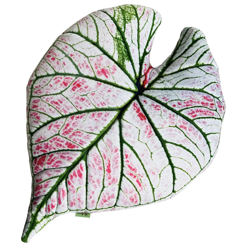 Декоративная подушка Botanical Cushion Caladium Rosebud Зеленый Бежевый Розовый Декоративная подушка Botanical Cushion Caladium Rosebud Зеленый Бежевый Розовый в Барнауле | Loft Concept