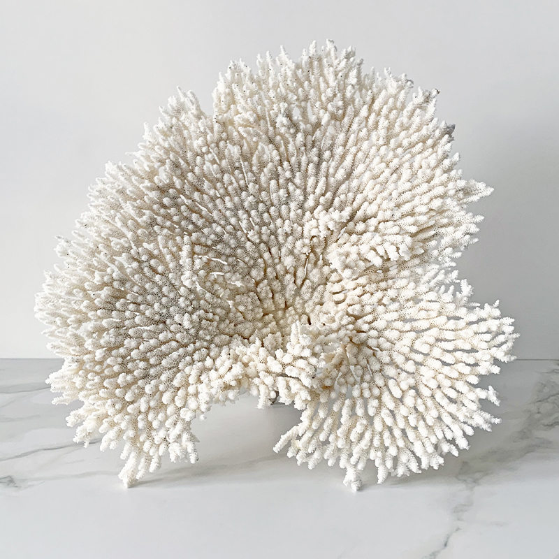 Статуэтка Table Coral Статуэтка Table Coral в Барнауле | Loft Concept