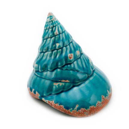 Ракушка Shell Turquoise #2 Бирюзовый Ракушка Shell Turquoise #2 Бирюзовый в Барнауле | Loft Concept