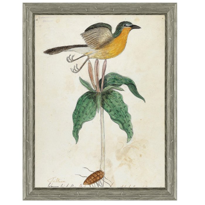 Постер Bird On Flower Постер Bird On Flower в Барнауле | Loft Concept