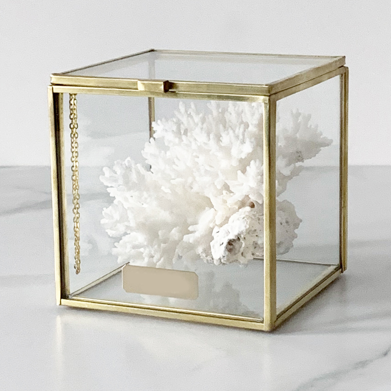 Статуэтка Natural Coral Glass Box S Статуэтка Natural Coral Glass Box S в Барнауле | Loft Concept