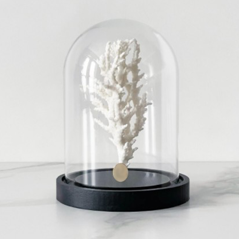 Статуэтка White Coral Glass Cloche Статуэтка White Coral Glass Cloche в Барнауле | Loft Concept