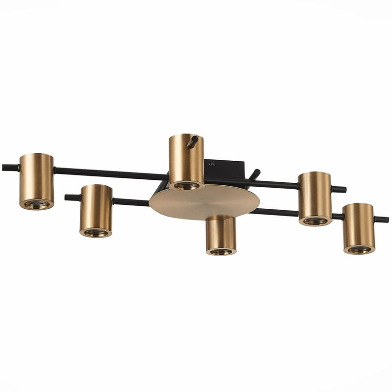 Потолочный светильник Aigle Ceiling Light 6 Черный Латунь Потолочный светильник Aigle Ceiling Light 6 Черный Латунь в Барнауле | Loft Concept