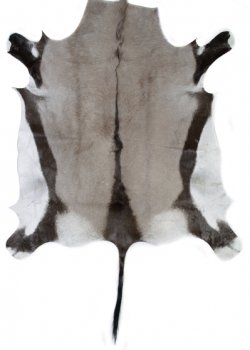 Натуральная шкура антилопы Gemsbok Черный Натуральная шкура антилопы Gemsbok Черный в Барнауле | Loft Concept