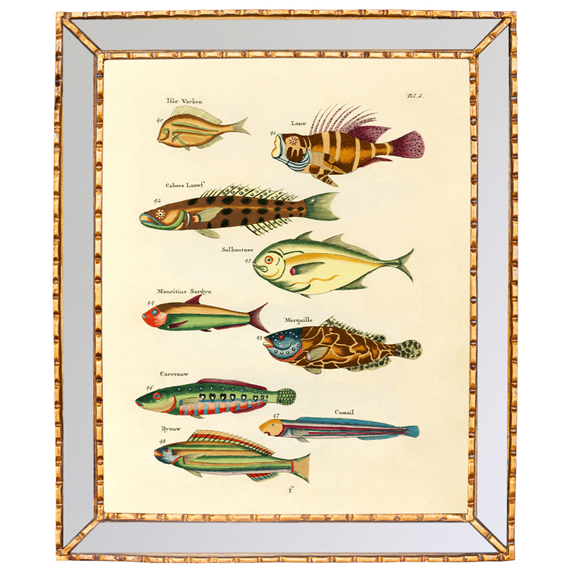 Постер в зеркальной раме Fish Guide 2 Мульти Золотой Постер в зеркальной раме Fish Guide 2 Мульти Золотой в Барнауле | Loft Concept