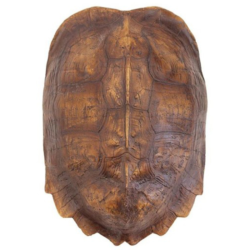 Аксессуар Turtle Shell Natural Light Brown Коричневый Аксессуар Turtle Shell Natural Light Brown Коричневый в Барнауле | Loft Concept