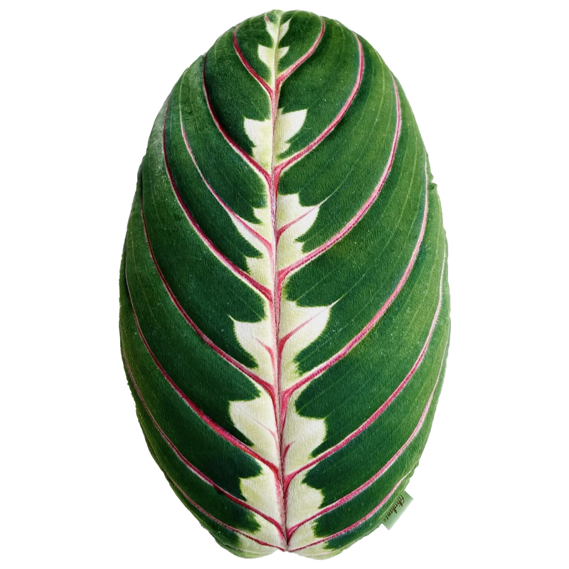 Декоративная подушка Botanical Cushion Maranta Trikolor Зеленый Бургундский красный в Барнауле | Loft Concept 
