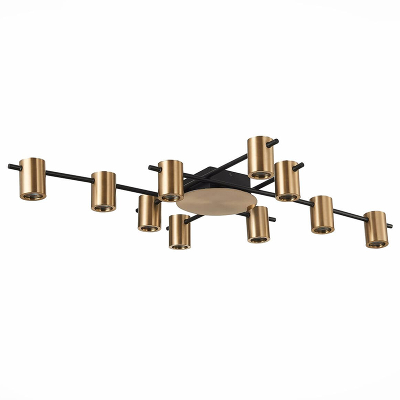 Потолочный светильник Aigle Ceiling Light 10 Черный Латунь Потолочный светильник Aigle Ceiling Light 10 Черный Латунь в Барнауле | Loft Concept