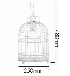 Подвесной светильник Bird Cage Подвесной светильник Bird Cage в Барнауле