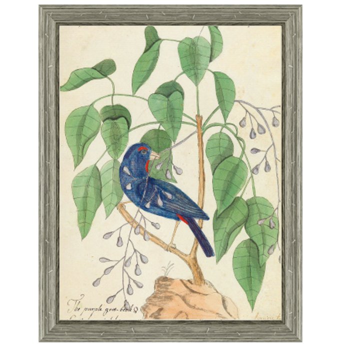 Постер Blue Bird In Foliage Постер Blue Bird In Foliage в Барнауле | Loft Concept