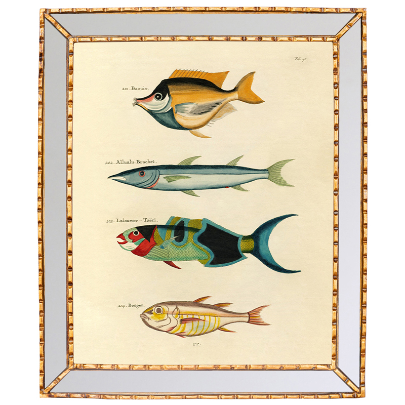 Постер в зеркальной раме Fish Guide 3 Мульти Золотой Постер в зеркальной раме Fish Guide 3 Мульти Золотой в Барнауле | Loft Concept
