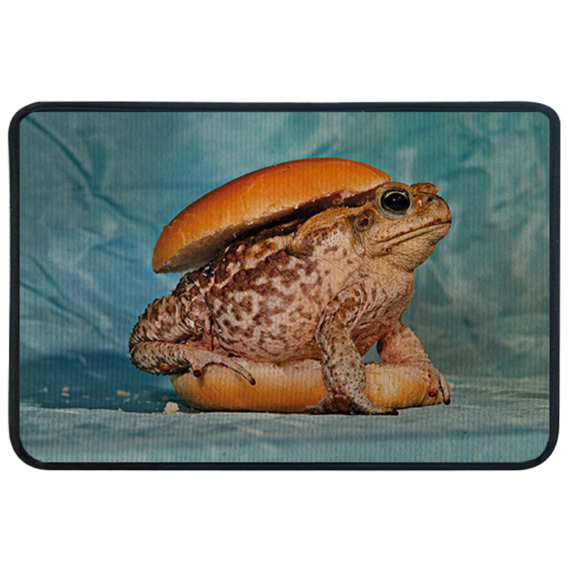 Ковер для прихожей и ванной Seletti Toad Rug Мульти Голубой Ковер для прихожей и ванной Seletti Toad Rug Мульти Голубой в Барнауле | Loft Concept