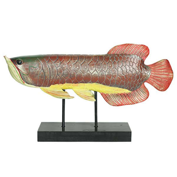 Аксессуар для интерьера рыба Colored Fish Аксессуар для интерьера рыба Colored Fish в Барнауле | Loft Concept